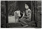 Girl with cat and calf Junpa Tibet